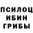 Галлюциногенные грибы ЛСД Snezana Jerinic