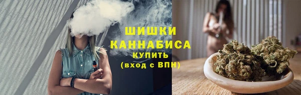 шишки Алексеевка
