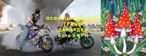 шишки Алексеевка