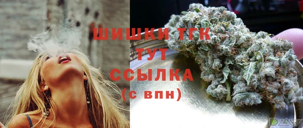 шишки Алексеевка