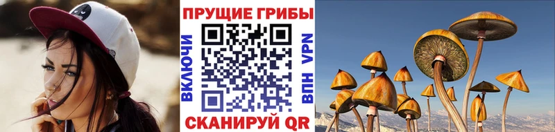 площадка состав продажа наркотиков Архангельск Галлюциногенные грибы мицелий